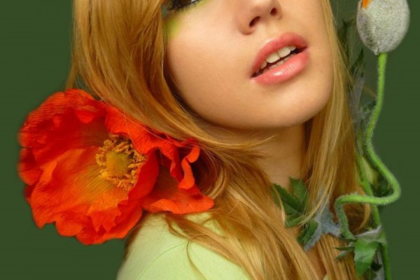 蔡甸特色,发现隐藏的茶艺宝地 蔡甸特色,发现隐藏的茶艺宝地